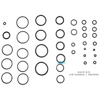 Daystate Air Ranger, RWS500 Service Seal Kit